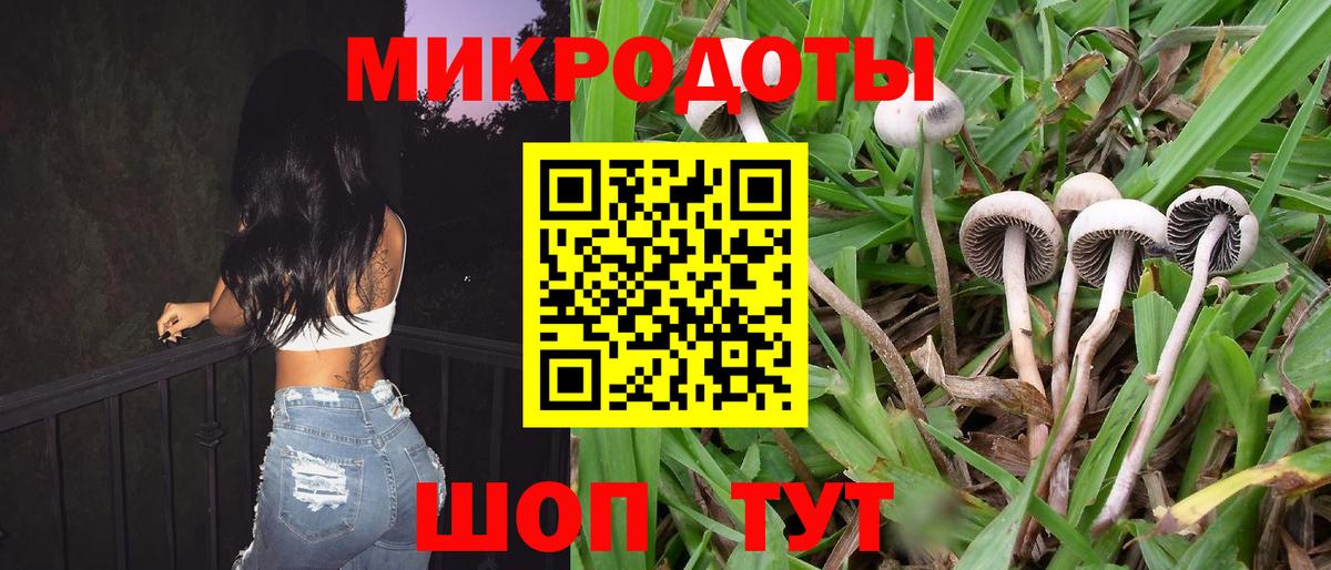 Галлюциногенные грибы ЛСД  Вход с VPN  Радужный  Псилоцибиновые грибы Cubensis 